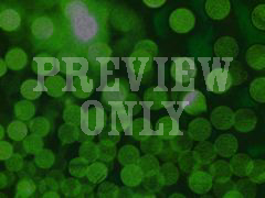 ABSTRACT GREEN