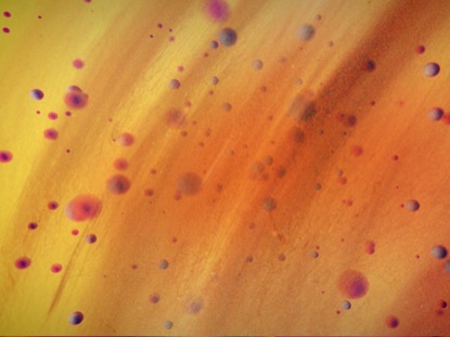 COLORDROPS BLUE YELLOW