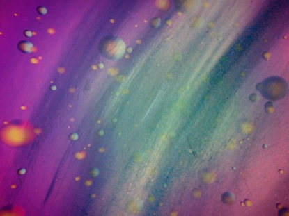 COLORDROPS YELLOW PURPLE
