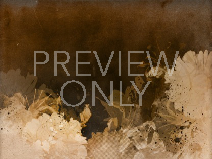 FLOWER STILL 3