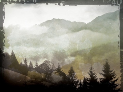 FOG LANDSCAPE 1