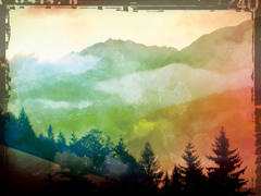 FOG LANDSCAPE 2