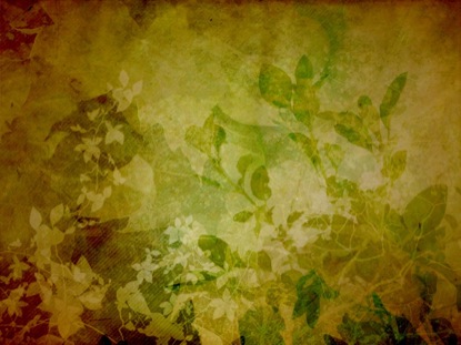 NATURE GRUNGE