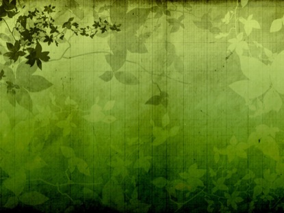 ORGANIC 2