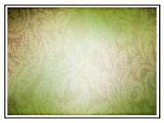 PAISLEY 2