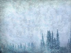 SNOWY TREES