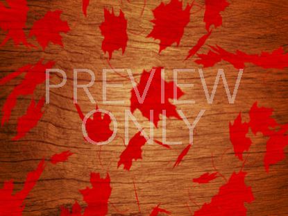 RED LEAVES STILL