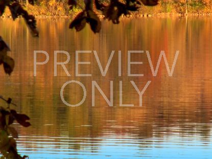 FALL FOOTAGE LEAVES LAKE