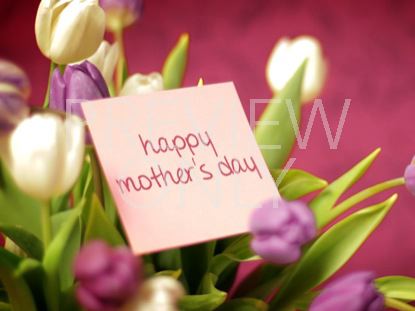 HAPPY MOTHER'S DAY TULIPS