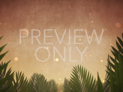 PALM SUNDAY EPIC BRANCHES