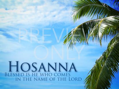 PALM SUNDAY HOSANNA TREE