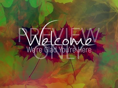 FALL CIDER WELCOME 2 STILL