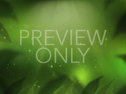 FRESH OUTLOOK STILL 1