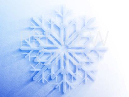 FROSTED SNOWFLAKE 2 STILL
