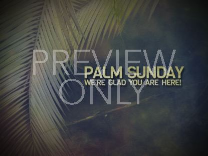 PALM BRANCHES WELCOME 2