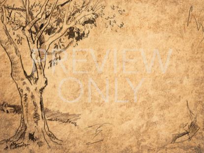 SKETCHED TREE STILL