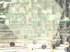HONEYCOMB WOOD