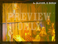 SAVIOR IS BORN