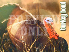 TURKEY BOWL