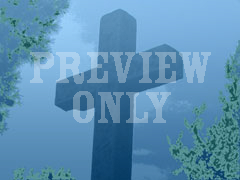 CROSS 15