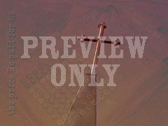 CROSS 22