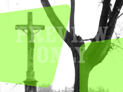 CROSS 43