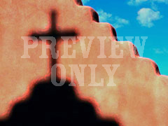 CROSS 44