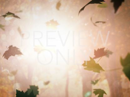 LEAVES FALLING