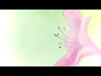 MATERNAL ETERNAL STILL 8