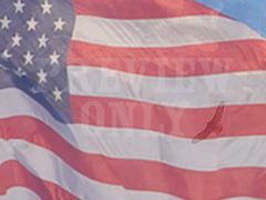 FLAG AND EAGLE