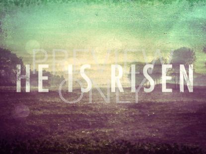 LIVING HOPE RISEN STILL