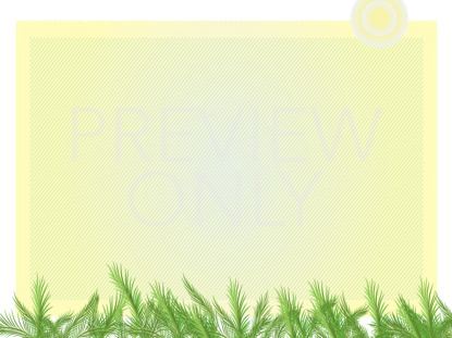 PALM BLANK STILL