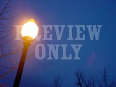 LAMP POST