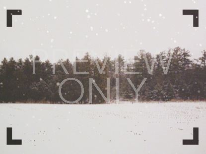 WINTER FOREST FRAME BLANK 1
