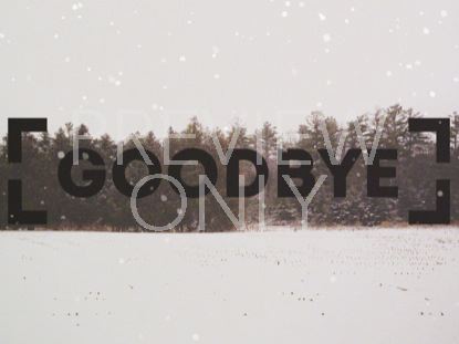 WINTER FOREST FRAME GOODBYE 1