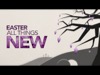 All Things New Easter | Freebridge Media | Preaching Today Media