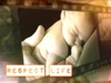 Respect Life | Hyper Pixels Media | Preaching Today Media