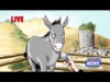 Bethlehem Donkey Interview | Second Look Films | Preaching Today Media