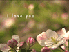 LOVE YOU