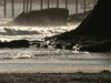 WAVES 2