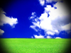 SPRING FIELD