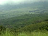 THESE HILLS