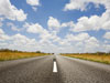 THE LONG ROAD