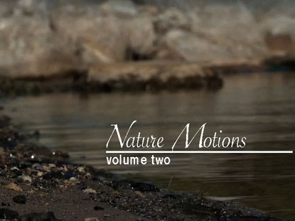 nature motion background