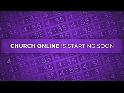 ARRAY TIMER - PURPLE