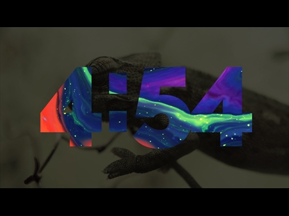 CHAMELEON  COUNTDOWN