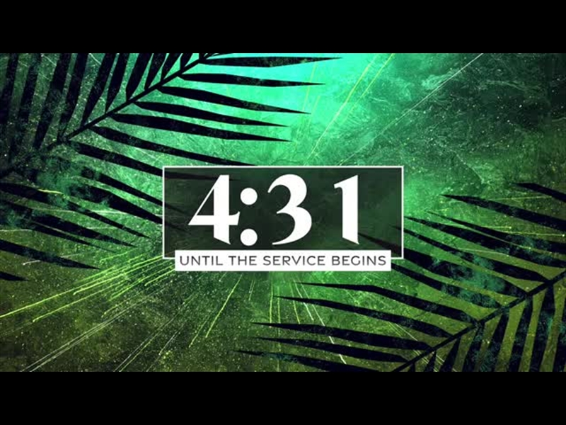 VIVID PALM SUNDAY COUNTDOWN