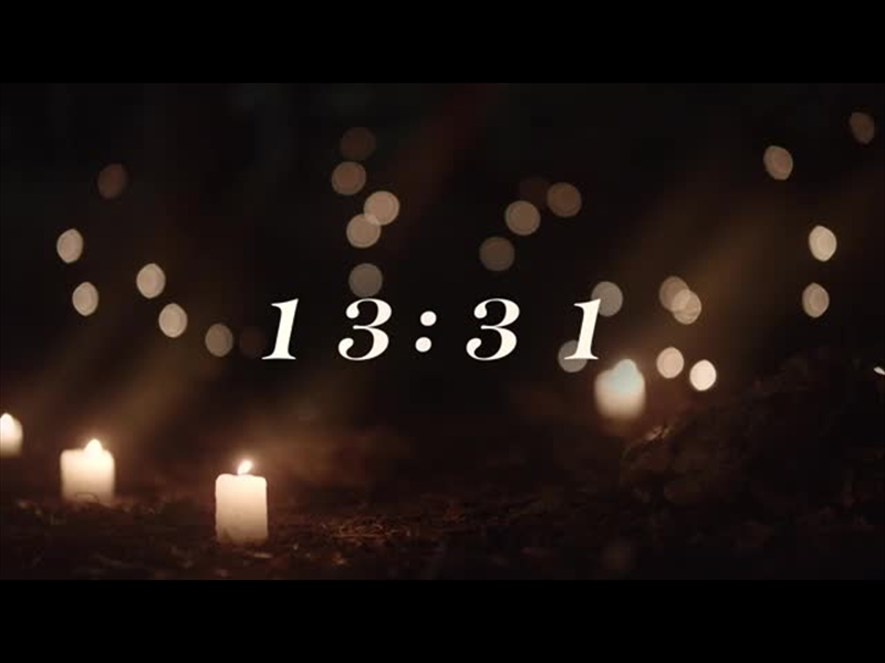 SECLUDED FOREST COUNTDOWN