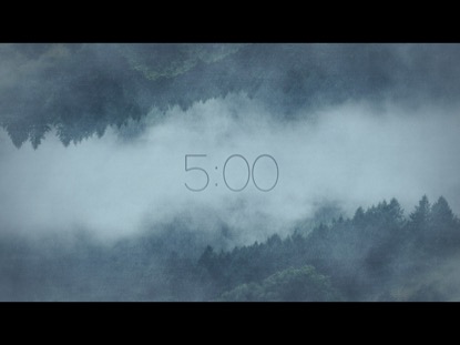 SILENT FOREST COUNTDOWN