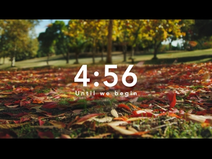 FALLING LEAVES COUNTDOWN